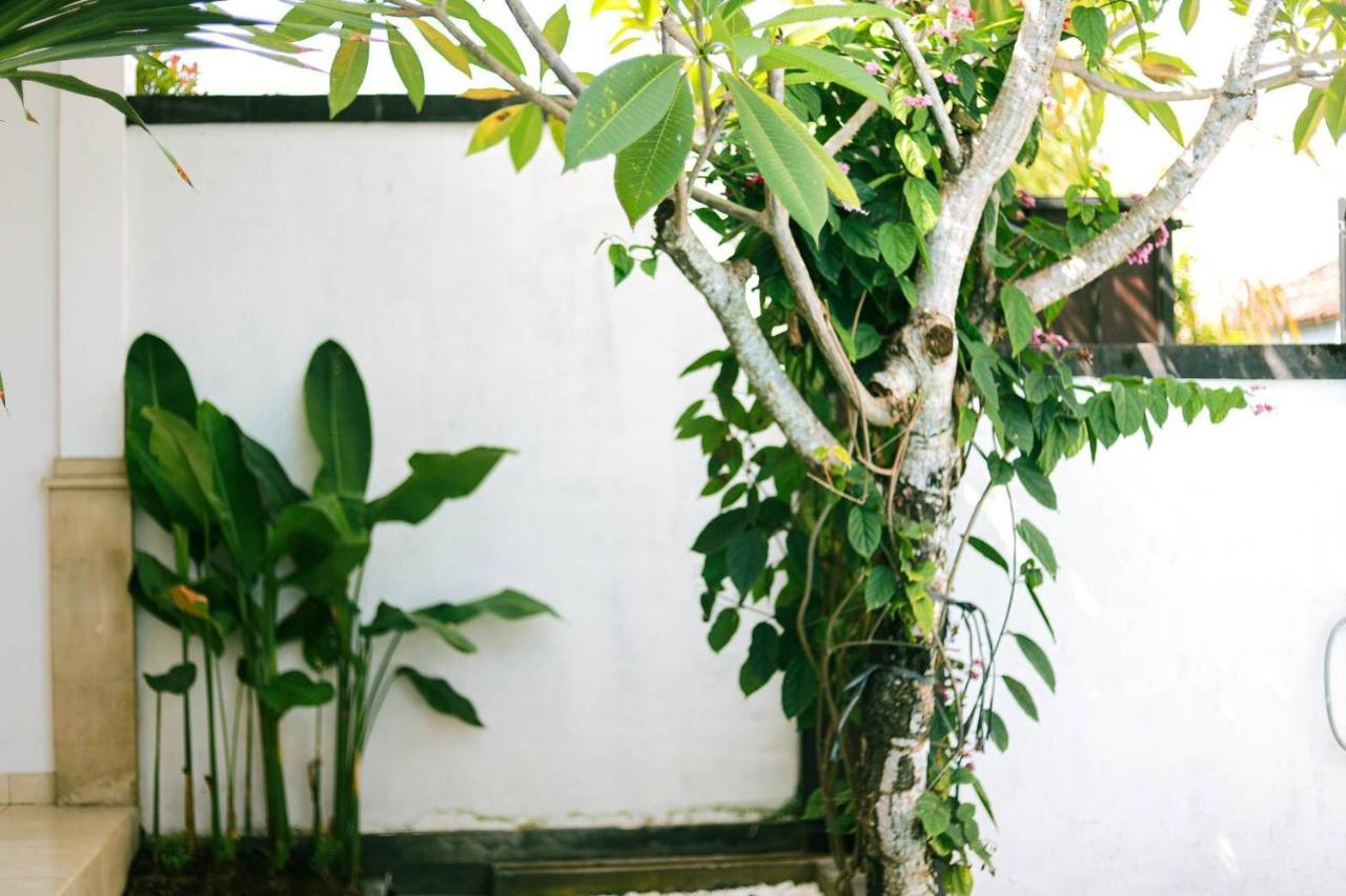 Adi Guest House Canggu Kültér fotó